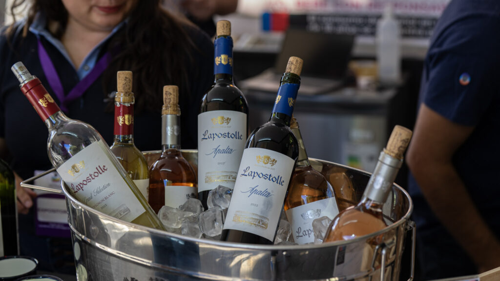 Colchagua llega a Santiago: el valle más premiado de Chile trae su Barra Premium al MUT dsc5503