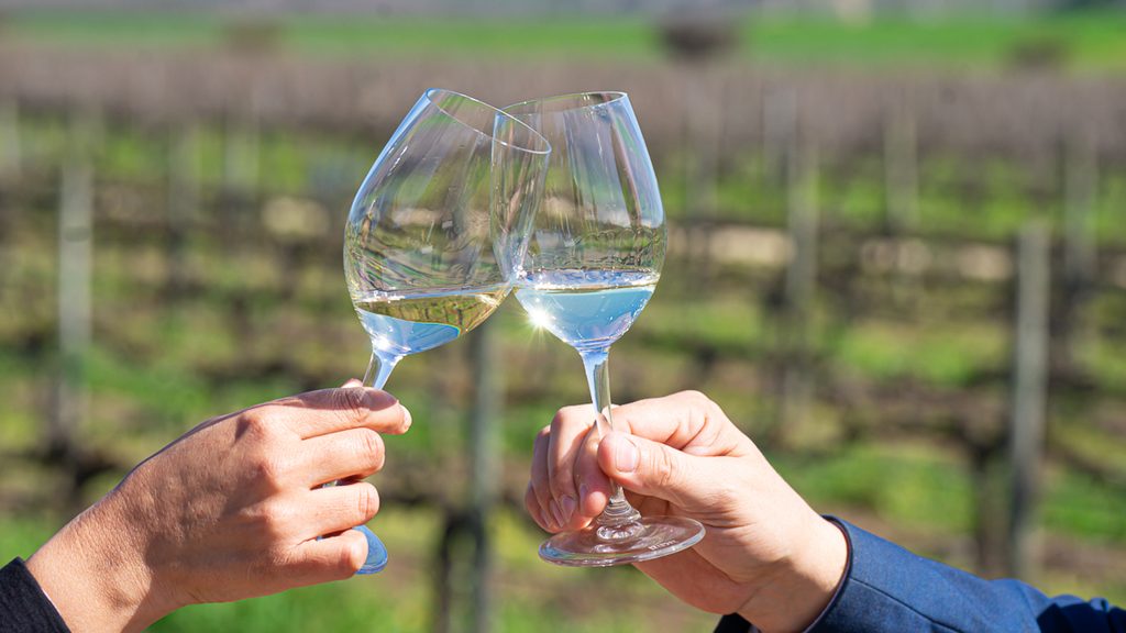 Día nacional del vino: mucho más que una bebida para compartir dsc8887