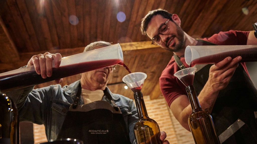 make your own wine 07