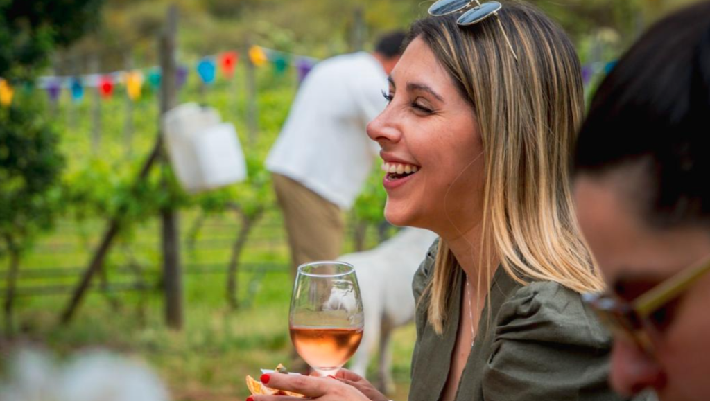 Viña Ranquilhue: vinos, gastronomía y música en Pumanque image